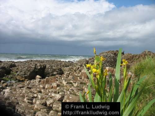 Giant's Causeway